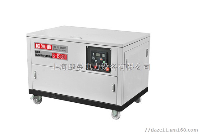 公司采购15KW汽油发电机高原使用