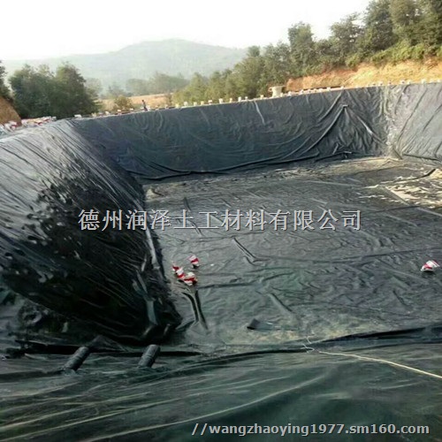 山西化粪池防渗土工膜