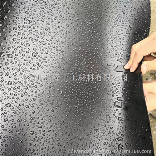 广东污水调节池覆盖1.5mm聚乙烯土工膜