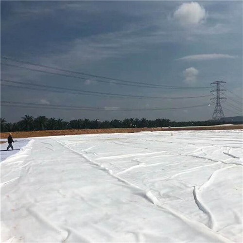 人工河道防渗复合土工膜