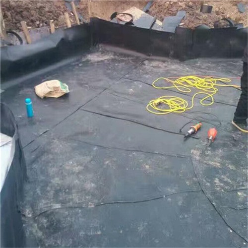 鱼塘垂钓池采用0.8mm防渗土工膜