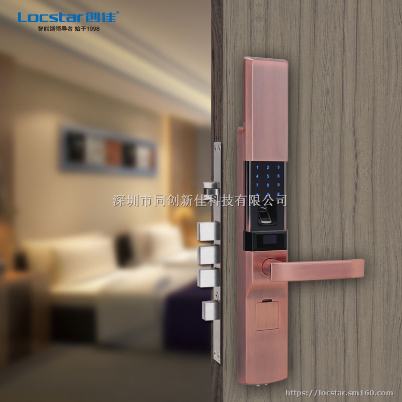 LS-8036防盗门公寓智能锁