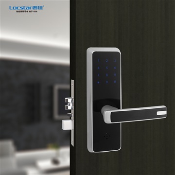 深圳创佳LS-8076联网公寓门锁