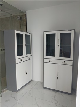 重庆兆信薄边拆装式文件柜办公柜厂家供应