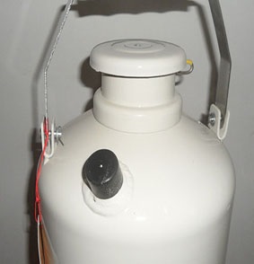 供应提供肉的保水性用液氮水果蔬菜储存液氮钢瓶10升