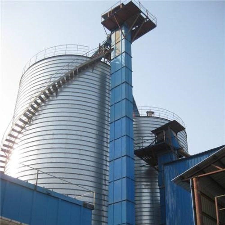 TD315斗提机钢丝胶带使用周期长