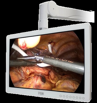 FS-P3102DS医用显示器4K高清FS-C55