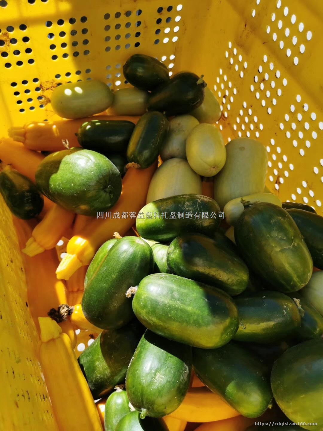 成都塑料托盘，成都托盘