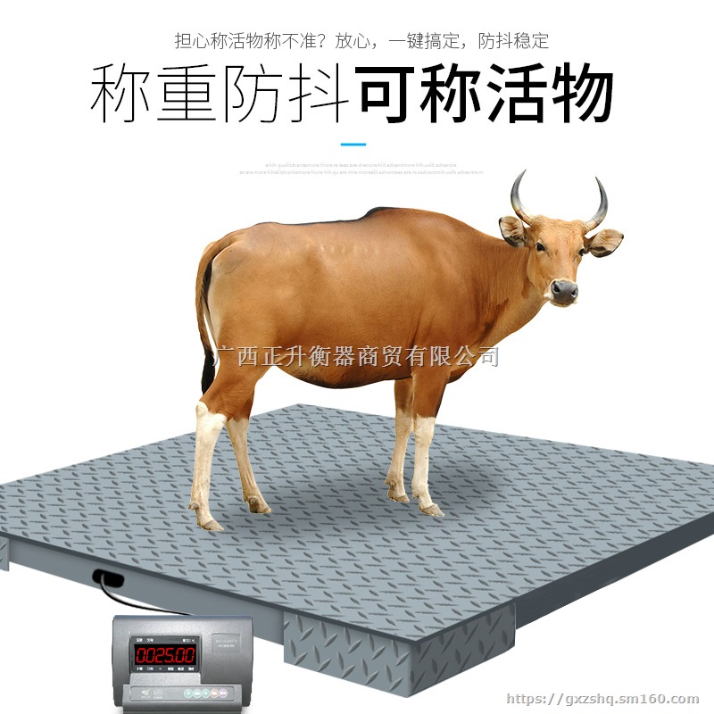 柳州小型广西衡器上海耀华3吨正品钜惠