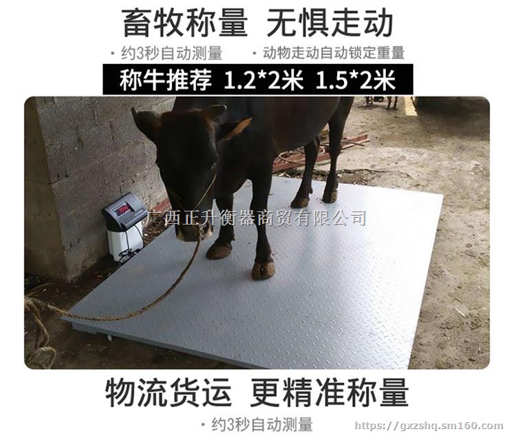 柳州小型广西衡器上海耀华3吨正品钜惠
