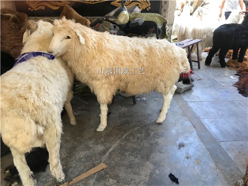 仿生仿真绵羊科教模型