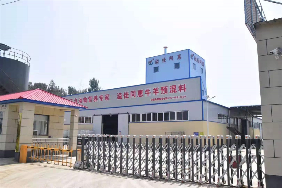 母羊专用预混料饲料价格