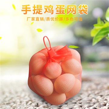 120孔35cm12-18枚装鸡蛋网袋带扣多色可选