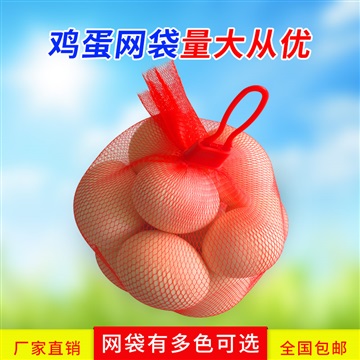 140孔28cm8-10枚装鸡蛋网袋带扣多色可选