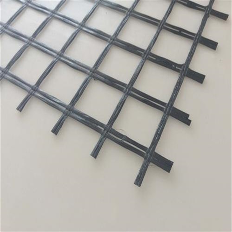 泰安环润玻纤土工格栅 路面路基 厂家直销 耐高温