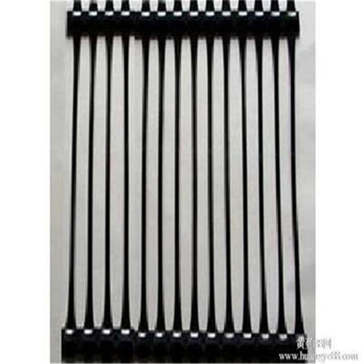 山东环润 单向塑料土工格栅 加筋护坡 厂家直销