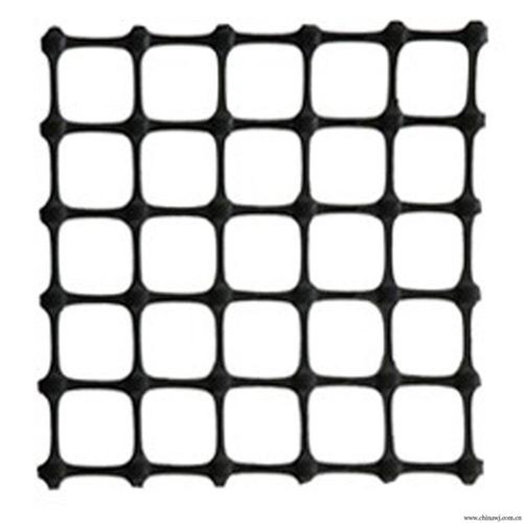 泰安环润土工材料 双向塑料土工格栅厂家直销 可定制