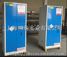 上海易制爆易制毒储存柜-毒麻柜-双人双锁-双管