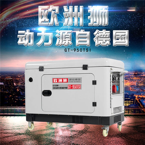 欧洲狮动力8kw柴油发电机室外用