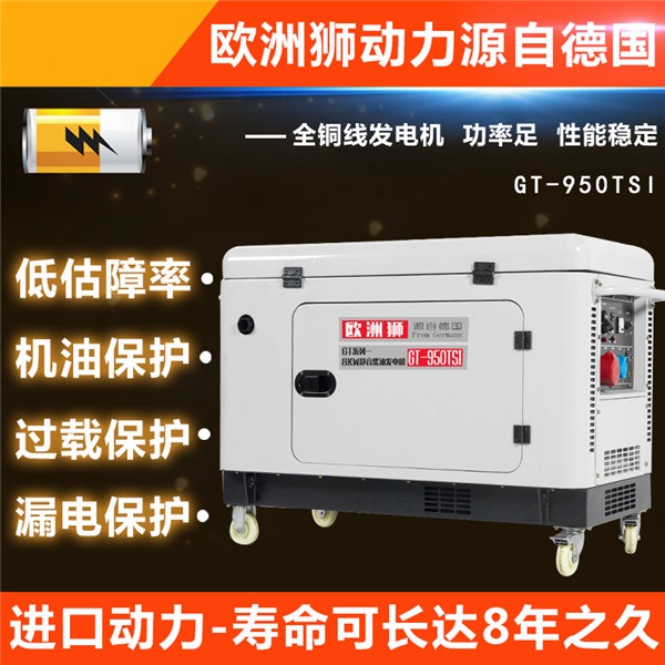 欧洲狮动力8kw柴油发电机室外用