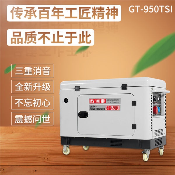 欧洲狮动力8kw柴油发电机遥控启动