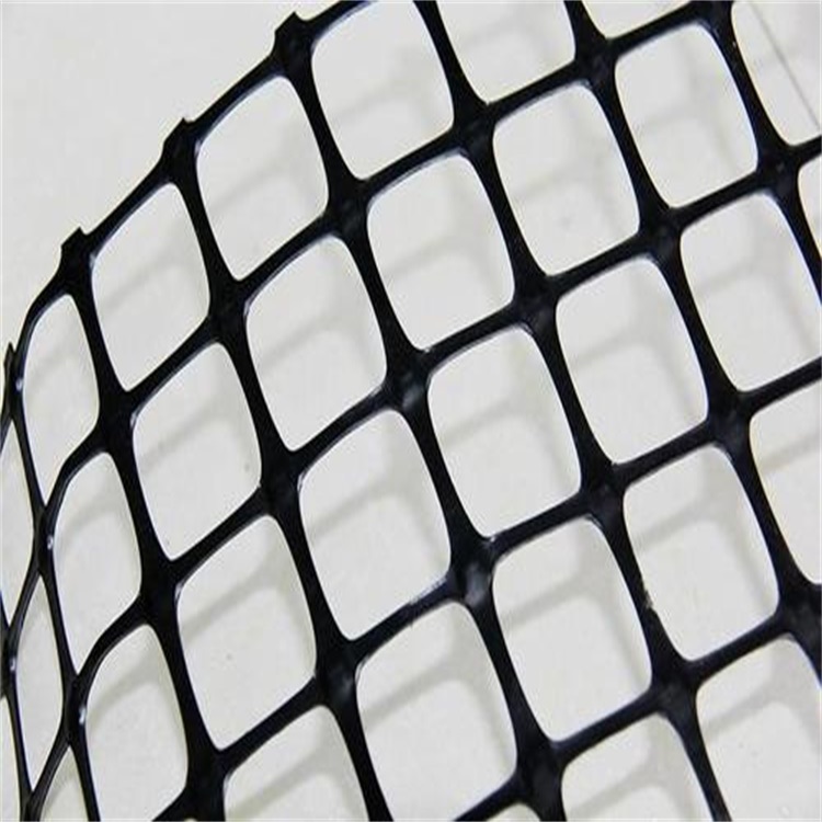 山东泰安 双向拉伸塑料土工格栅 抗拉伸 耐腐蚀