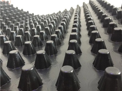 供应廊坊2公分塑料凸壳排水板-车库顶板专用