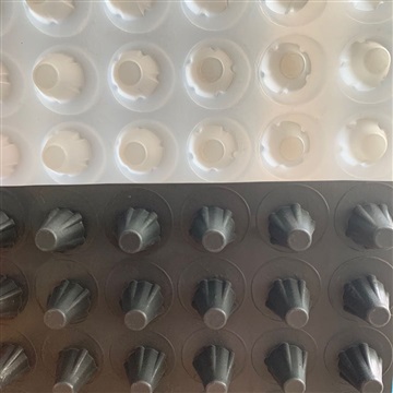 漳州2公分地下车库滤水排水板/厂家供应