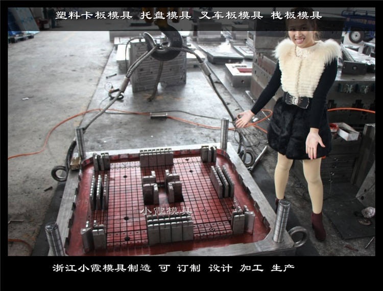 单面网格托盘模具