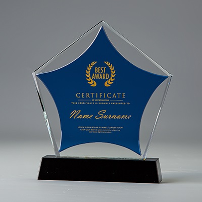 水晶奖牌 卖场评选奖品 员工激励 业绩突出奖杯奖牌