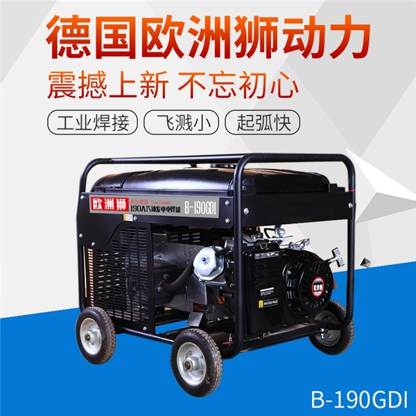 B-250GDI汽油发电电焊机250A