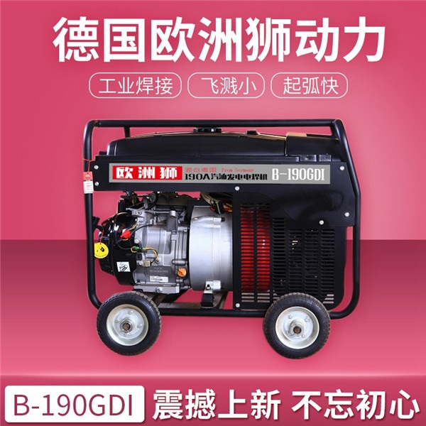 B-300GDI汽油发电电焊机价格