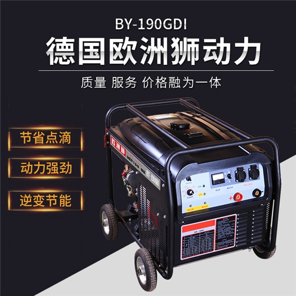 B-300GDI汽油发电电焊机价格