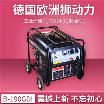 B-300GDI汽油发电电焊机价格