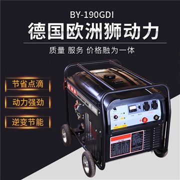 B-250GDI风冷汽油发电电焊机300A