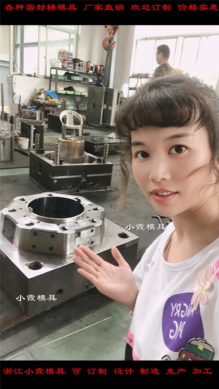 浙江塑胶模具公司 专业做21L乳胶桶塑胶模具制造