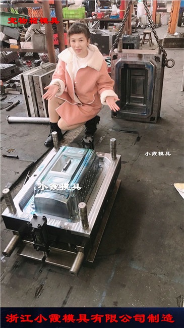 开模注塑加工 宠物箱塑胶模具供应商