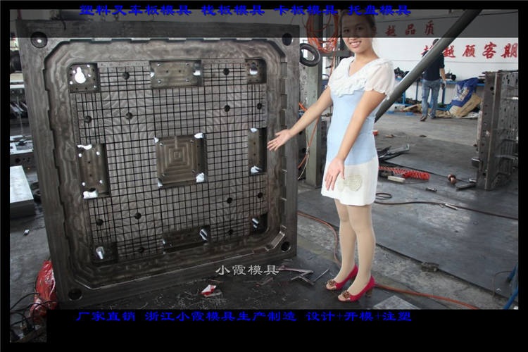 设计双面注塑托盘模具小霞模具值得信赖