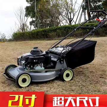 渭南市整机进口HRJ216铝合金本田自走式草坪机