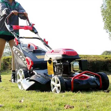 朝阳市19寸铝合金手推本田动力汽油机草坪机