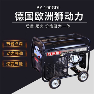 电启动汽油发电电焊机250A