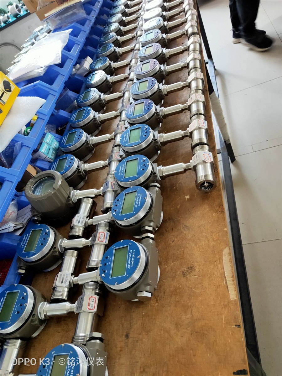 LWS食品卫生卡箍型涡轮流量计