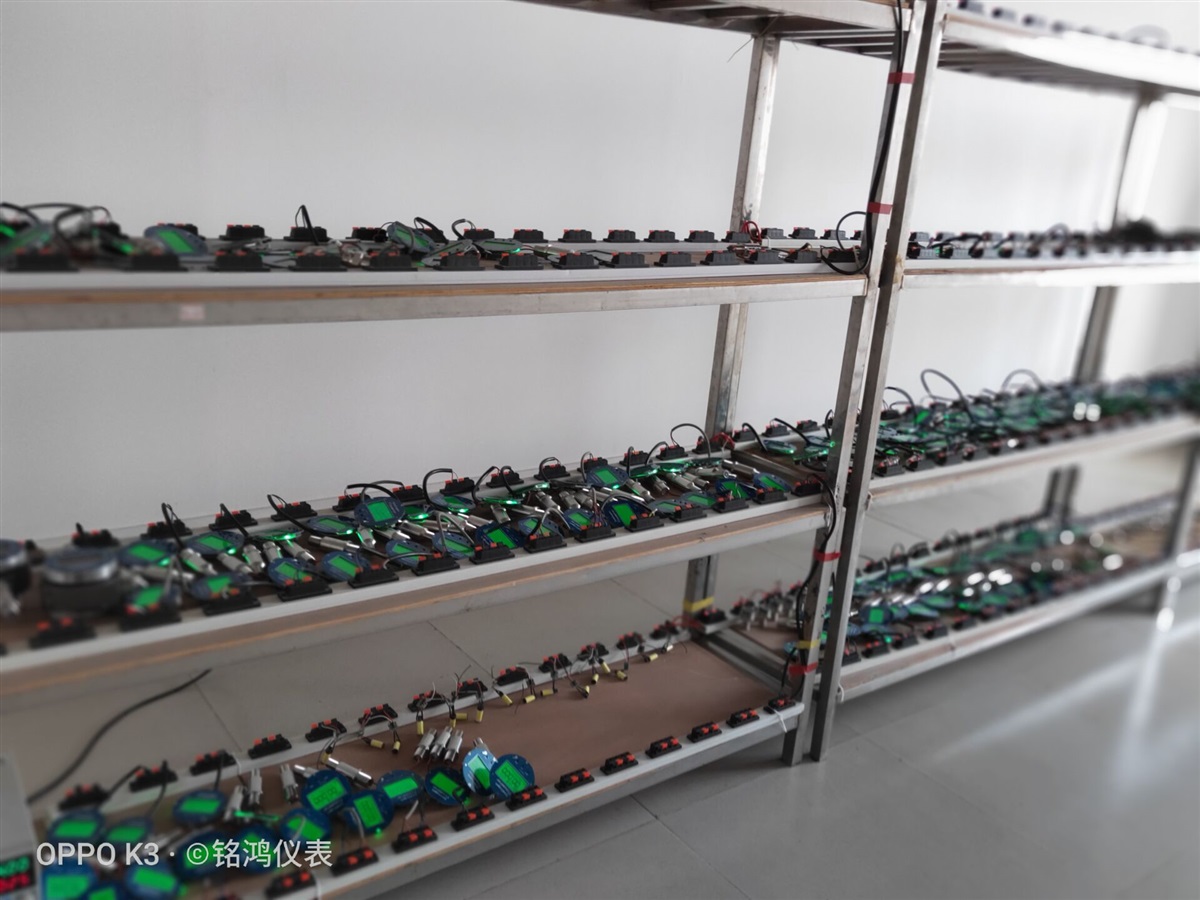 LWS食品卫生卡箍型涡轮流量计