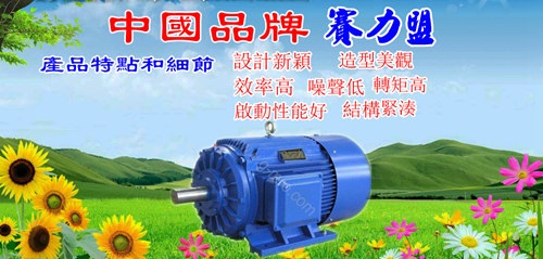 重庆赛力盟电机质量介绍|赛力盟电机性价比高