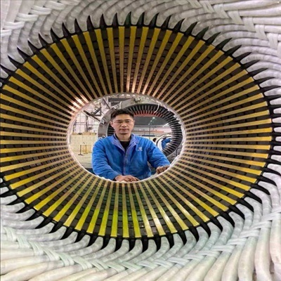 四川_重庆_贵州10kV高压电机维修内容_嵌线作业