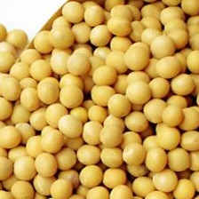 美国肉类农副产品进口南沙进口通关方案