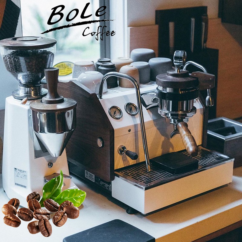 lamarzocco gs3 辣妈意式单头咖啡机