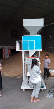 单斗半自动35共计玉米颗粒电子包装机