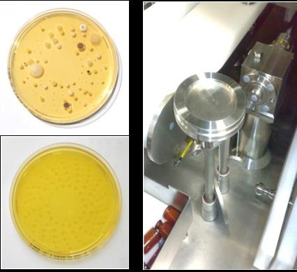 高效浮游菌采样头