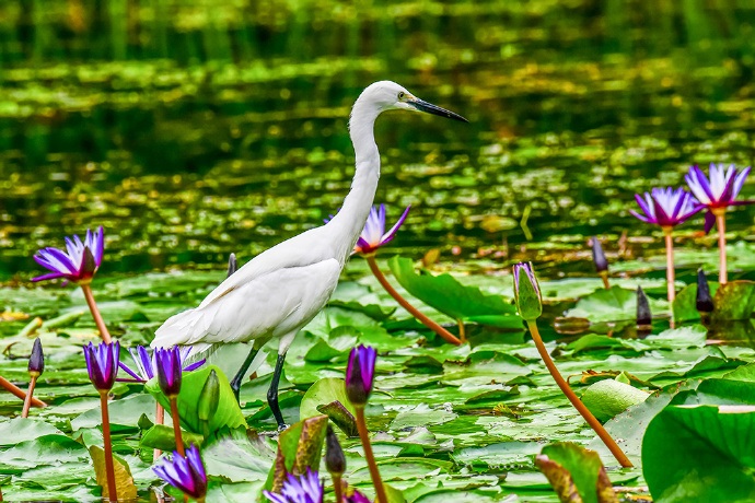 宁波CMMM智能制造能力成熟度认证详解